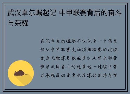 武汉卓尔崛起记 中甲联赛背后的奋斗与荣耀