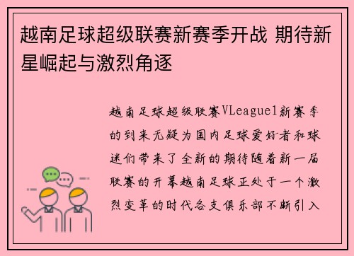 越南足球超级联赛新赛季开战 期待新星崛起与激烈角逐